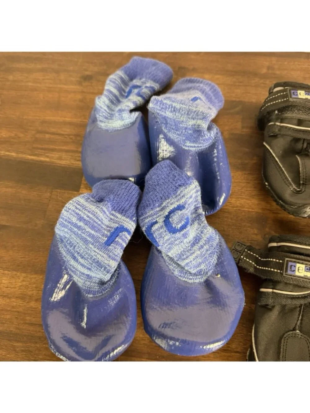 Canine Equipment Trail Boot Blue MEDIUM M & RC Pet Products Sporty PAWks 4993